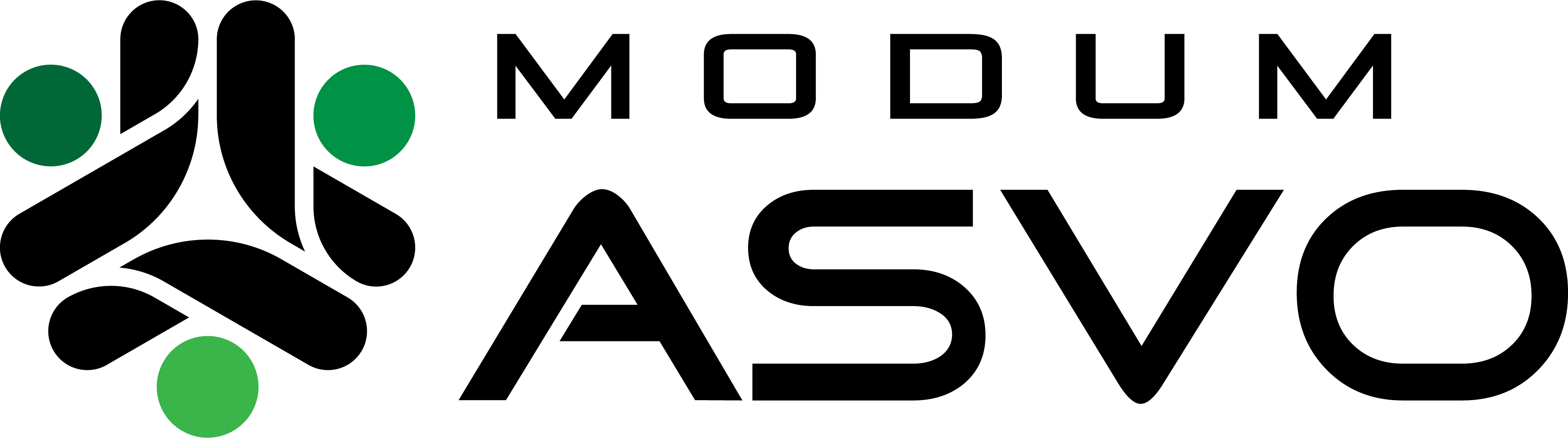 Modum ASVO LOGO